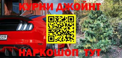 наркотики Кингисепп